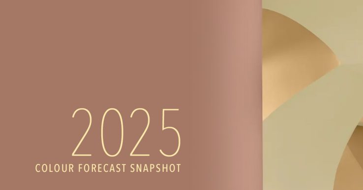 2025 Colour Forecasting for Designers